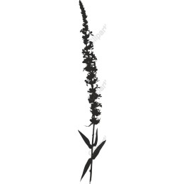 Tall Floral