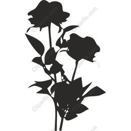 Elegant Black Rose