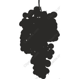 Elegant Grape Cluster