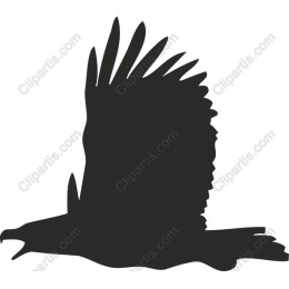 Majestic Eagle