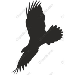 Eagle in Flight