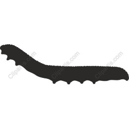 Caterpillar