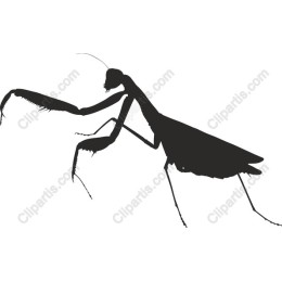 Praying Mantis - Black