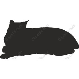 Resting Cat