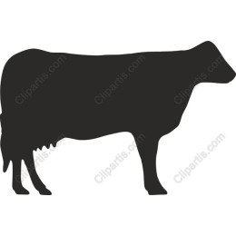 Elegant Cow