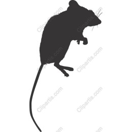 Charming Mouse