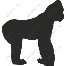 Gorilla - File
