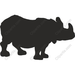 Rhinoceros