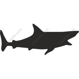 Shark