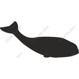 Whale