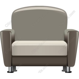 Elegant Modern Armchair