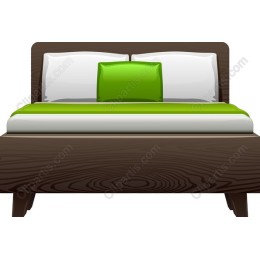 Modern Bed