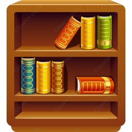Vibrant Wooden Bookshelf
