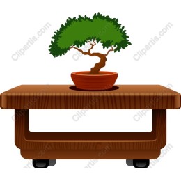 Bonsai Tree on Wooden Table