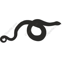 Elegant Serpent