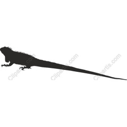 Lizard