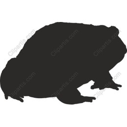 Frog - Versatile
