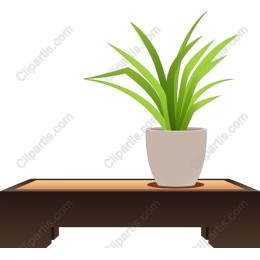 Minimalist Pot Plant on Table