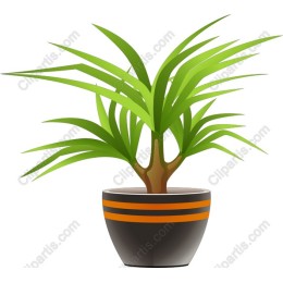 Lush Green Potted Plant