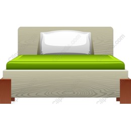 Modern Minimalist Bed