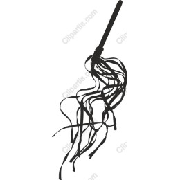 Elegant Whip