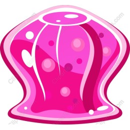 Playful Pink Jelly