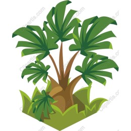 Tropical Tree