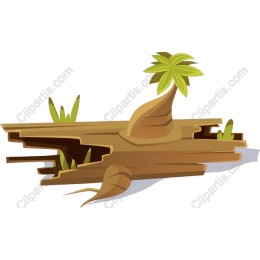Tropical Log and Palm Tree