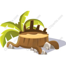 Tropical Tree Stump