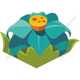 Vibrant Plant