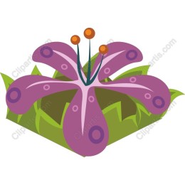 Purple Blossom