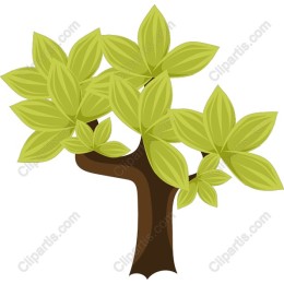 Lush Green Tree