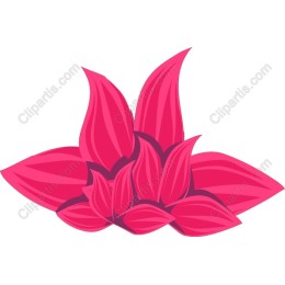 Vibrant Pink Leaves