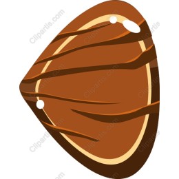 Shell - Nature-Inspired Element