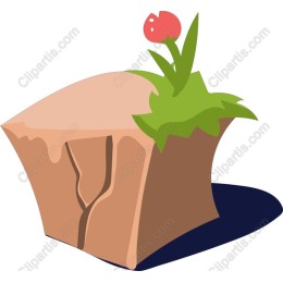 Charming Rock with Flower /