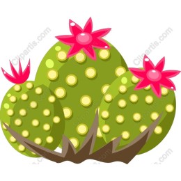 Vibrant Cactus