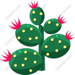 Vibrant Cactus