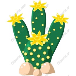Sunny Cactus Delight
