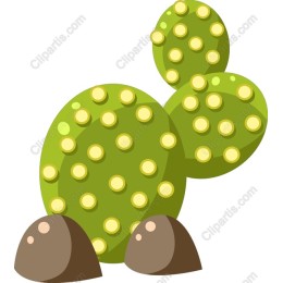 Vibrant Prickly Pear Cactus