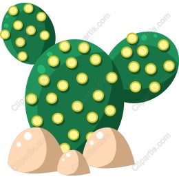 Vibrant Cactus