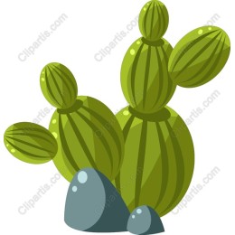 Stylish Cactus