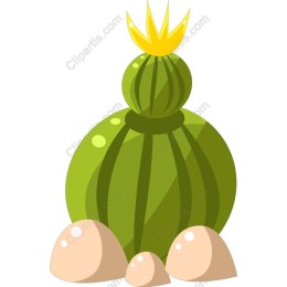 Cactus Clipart