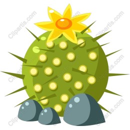Cactus Delight