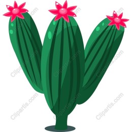 Vibrant Cactus with Pink Flowers