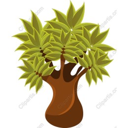 Lush Green Tree