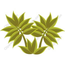 Vibrant Green Leafy Plants