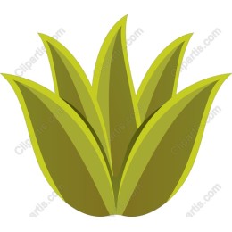 Vibrant Green Plant