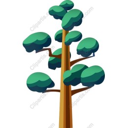 Lush Green Tree