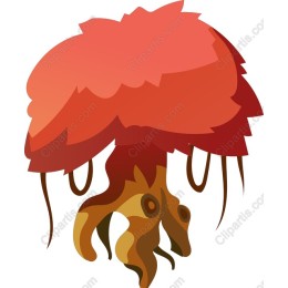 Oceanic Jellyfish