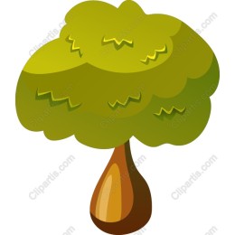Lush Green Tree